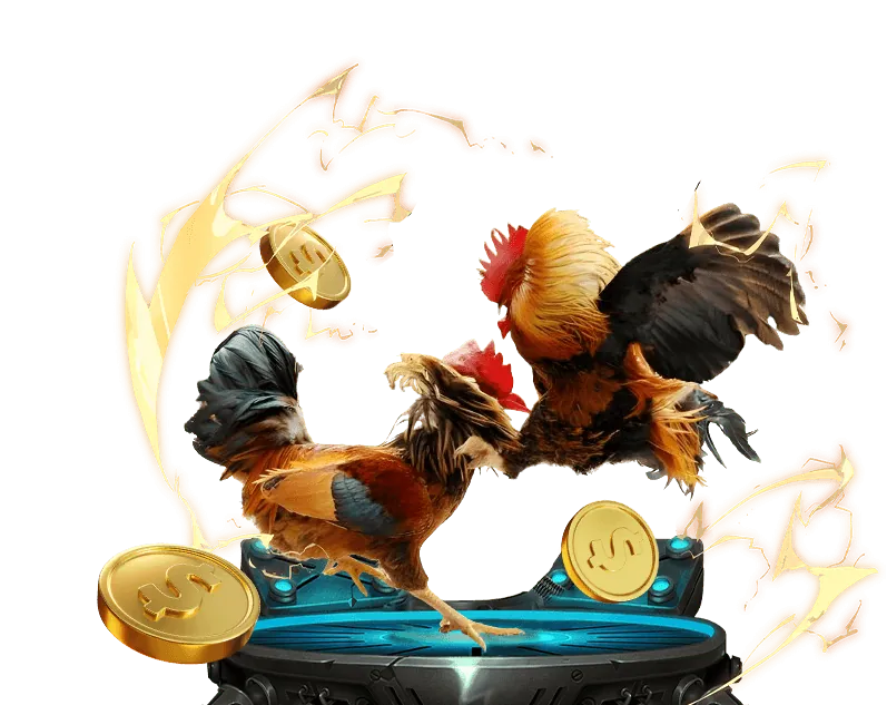 Tổng quan về đá gà trực tuyến tại Kabet